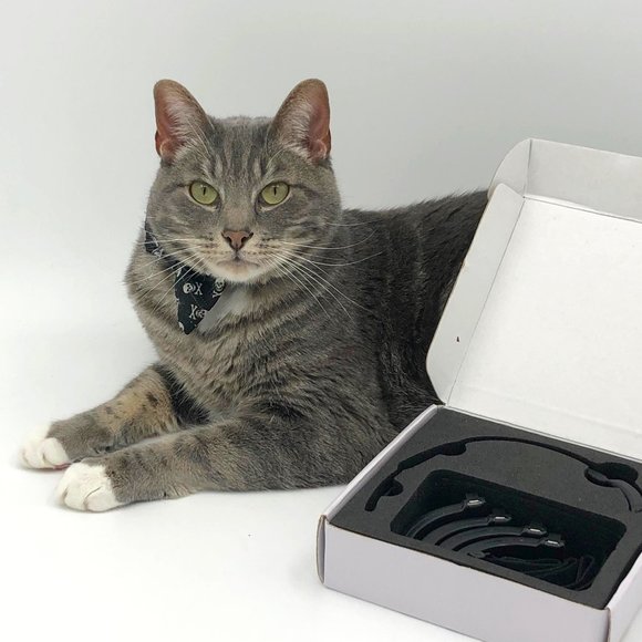 PAWTRACK GPS CAT TRACKING ADJUSTABLE USB COLLAR, New in box - Picture 2 of 16